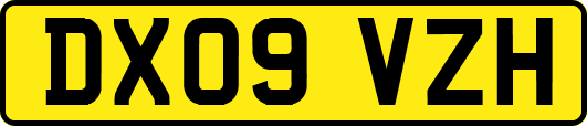 DX09VZH