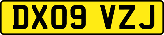 DX09VZJ