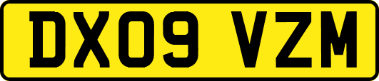DX09VZM