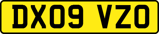 DX09VZO