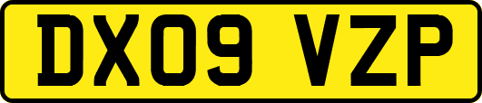 DX09VZP