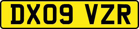 DX09VZR