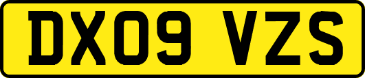 DX09VZS