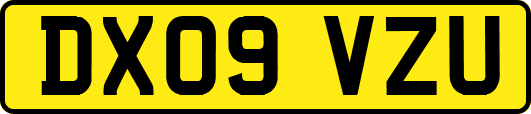 DX09VZU