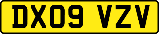 DX09VZV