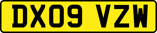 DX09VZW