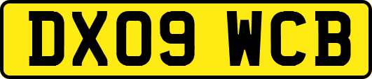DX09WCB