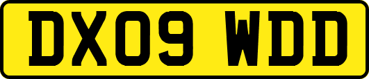 DX09WDD