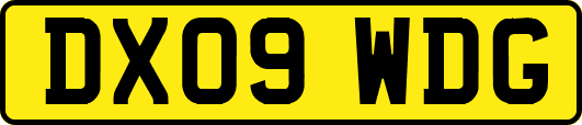 DX09WDG