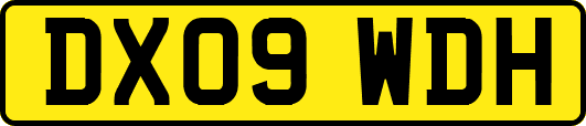 DX09WDH