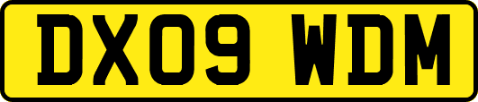 DX09WDM