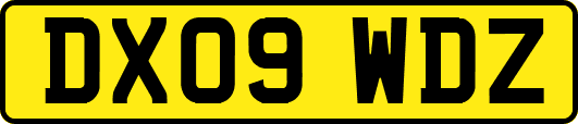 DX09WDZ