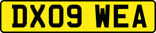 DX09WEA