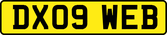 DX09WEB