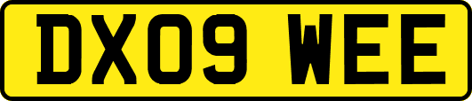DX09WEE