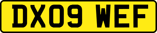 DX09WEF