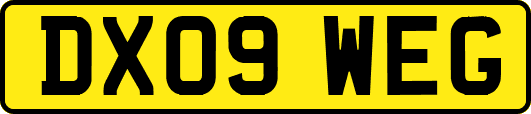 DX09WEG