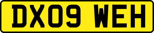 DX09WEH