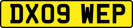 DX09WEP