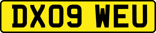 DX09WEU