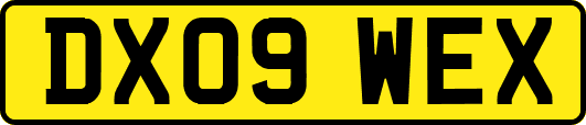 DX09WEX