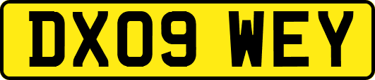 DX09WEY