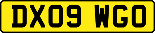 DX09WGO