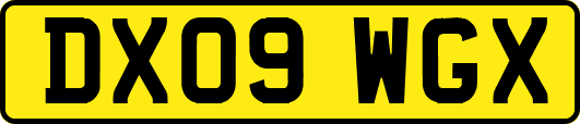 DX09WGX