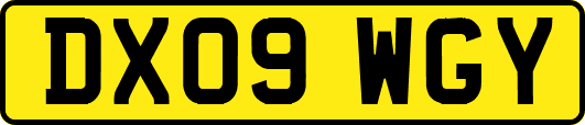 DX09WGY