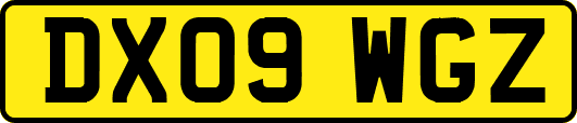 DX09WGZ