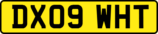 DX09WHT