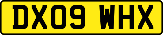 DX09WHX