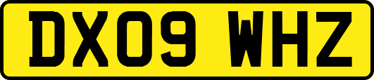 DX09WHZ