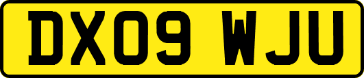 DX09WJU