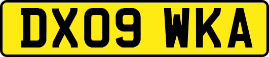 DX09WKA