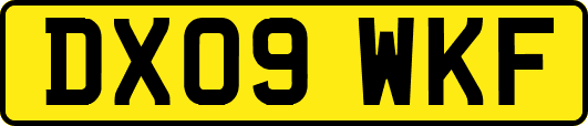 DX09WKF