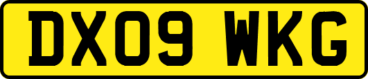 DX09WKG