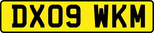 DX09WKM