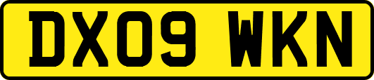 DX09WKN