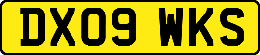 DX09WKS