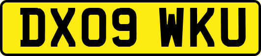 DX09WKU