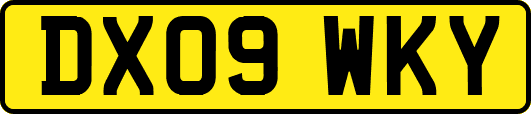 DX09WKY