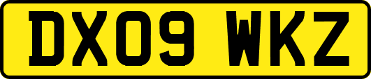 DX09WKZ