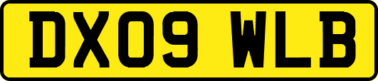 DX09WLB