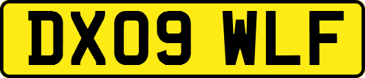 DX09WLF