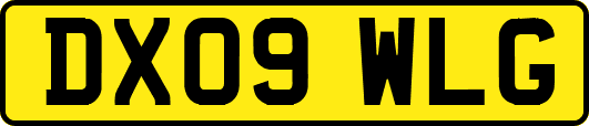 DX09WLG