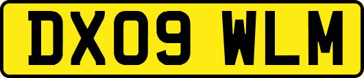 DX09WLM
