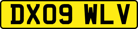 DX09WLV