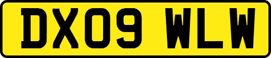 DX09WLW