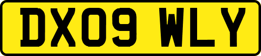 DX09WLY